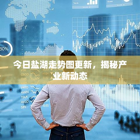 今日盐湖走势图更新，揭秘产业新动态