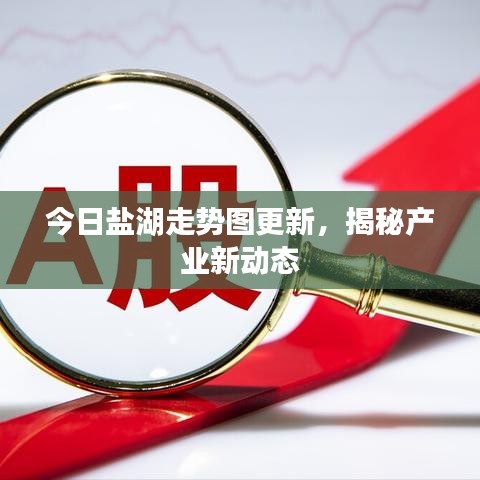 今日盐湖走势图更新,揭秘产业新动态