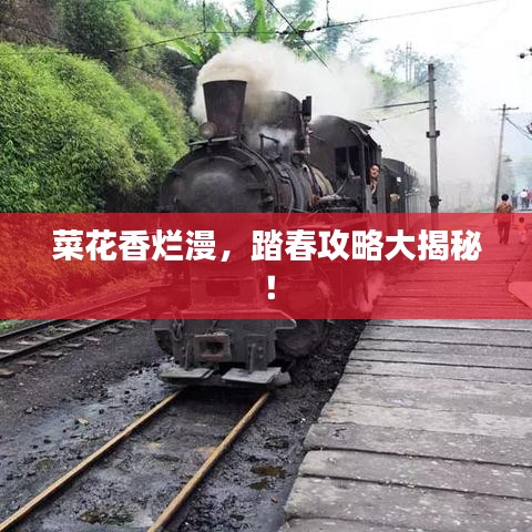 菜花香烂漫，踏春攻略大揭秘！