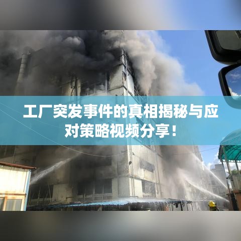 工厂突发事件的真相揭秘与应对策略视频分享!