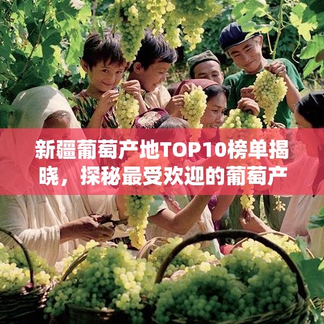 新疆葡萄产地TOP10榜单揭晓，探秘最受欢迎的葡萄产地