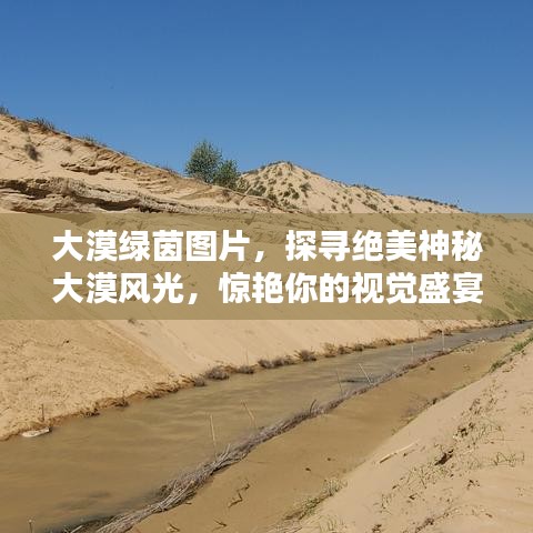 大漠绿茵图片，探寻绝美神秘大漠风光，惊艳你的视觉盛宴！