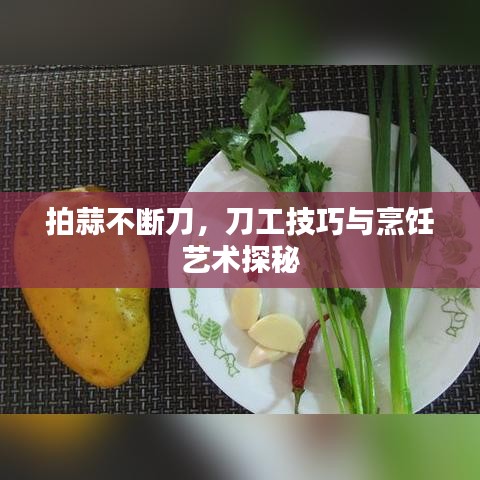 拍蒜不断刀，刀工技巧与烹饪艺术探秘