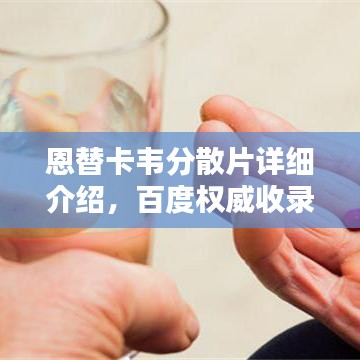 恩替卡韦分散片详细介绍，百度权威收录标准标题