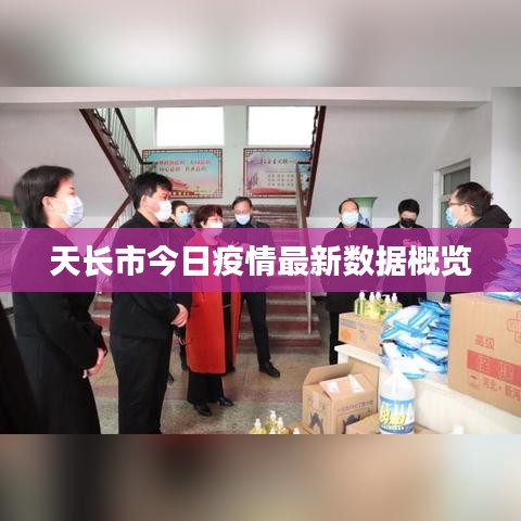 天长市今日疫情最新数据概览