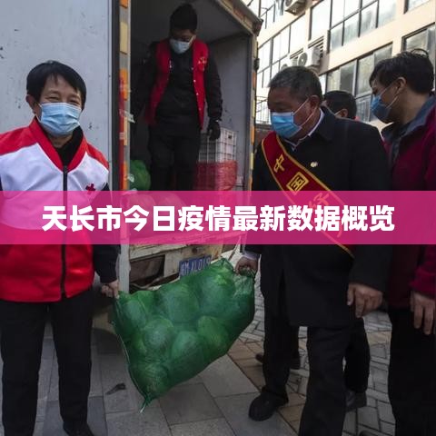 天长市今日疫情最新数据概览