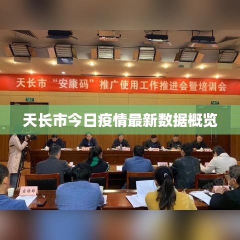 天长市今日疫情最新数据概览