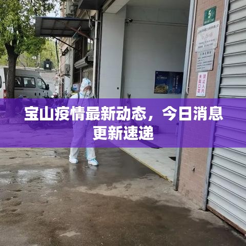 宝山疫情最新动态，今日消息更新速递