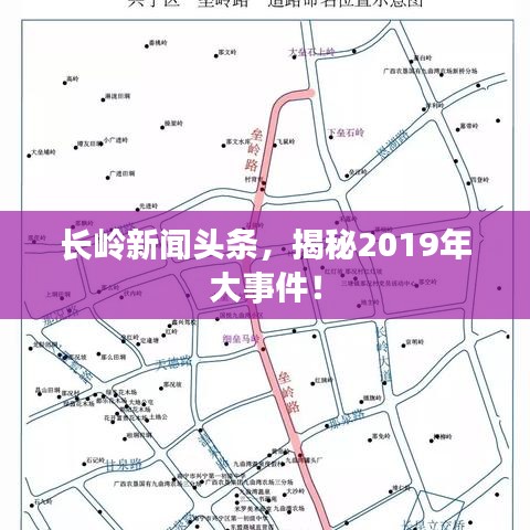 寻仙手游天君侍宠与征战天下 激活码,实地数据评估解析_黄金版1_v6.435