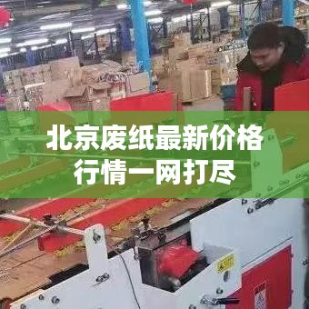 北京废纸最新价格行情一网打尽