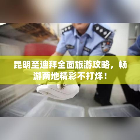 昆明至迪拜全面旅游攻略,畅游两地精彩不打烊!