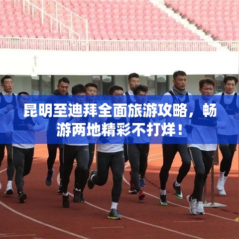 昆明至迪拜全面旅游攻略,畅游两地精彩不打烊!