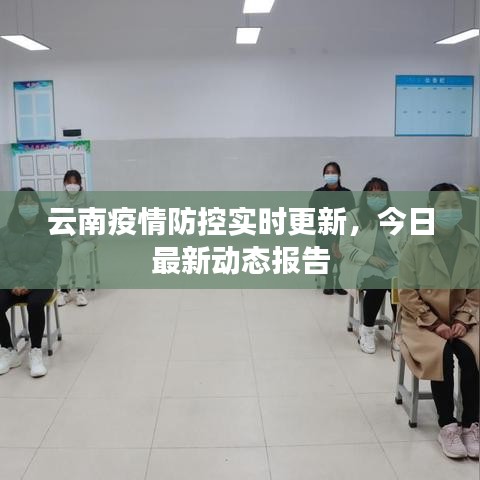 云南疫情防控实时更新，今日最新动态报告
