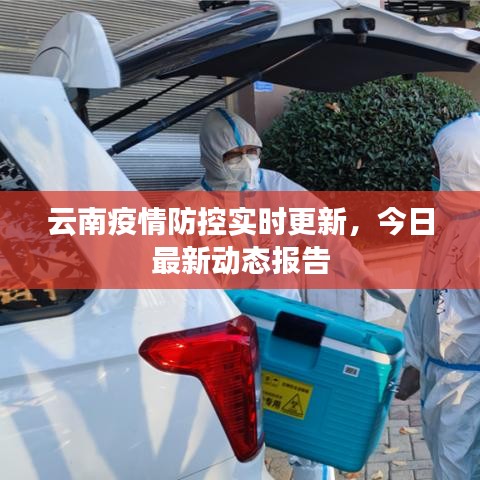 云南疫情防控实时更新,今日最新动态报告