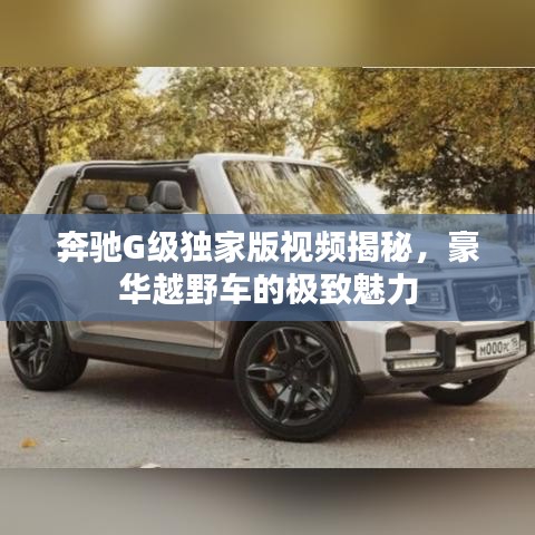 奔驰G级独家版视频揭秘，豪华越野车的极致魅力