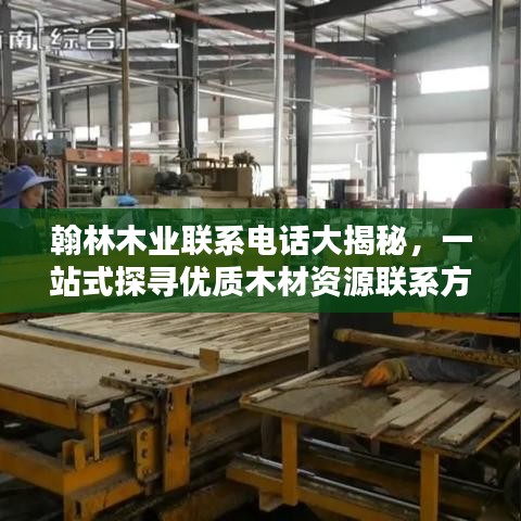 翰林木业联系电话大揭秘，一站式探寻优质木材资源联系方式