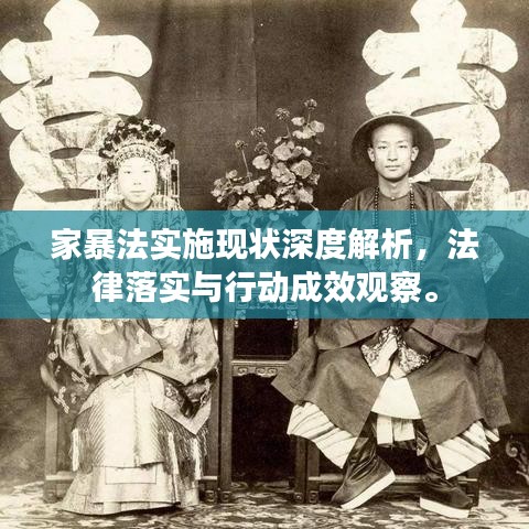 家暴法实施现状深度解析，法律落实与行动成效观察。