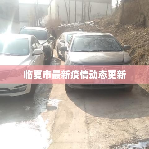 临夏市最新疫情动态更新