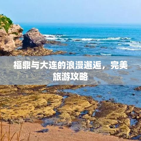 福鼎与大连的浪漫邂逅,完美旅游攻略