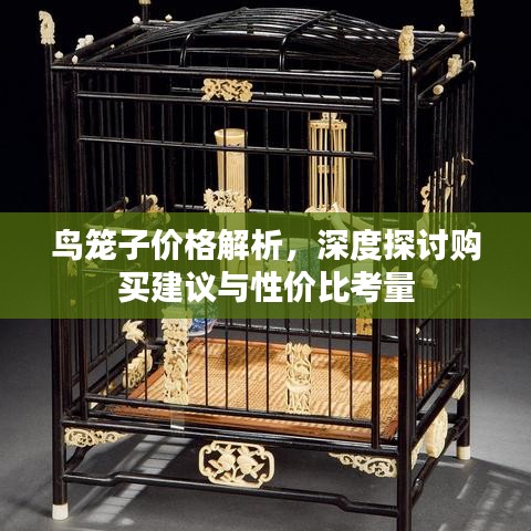 鸟笼子价格解析，深度探讨购买建议与性价比考量