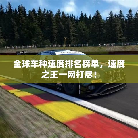 全球车种速度排名榜单,速度之王一网打尽!