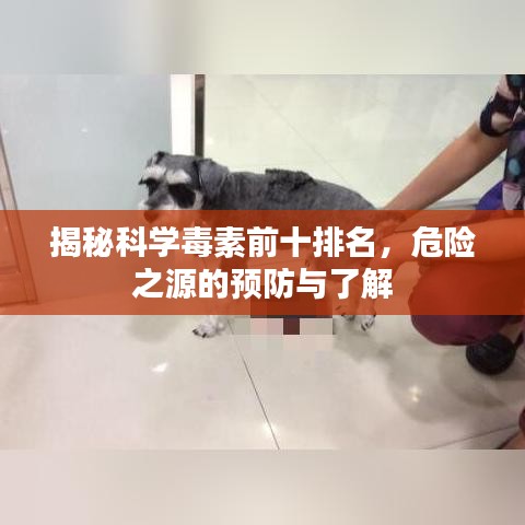 揭秘科学毒素前十排名,危险之源的预防与了解