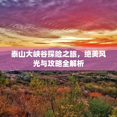 泰山大峡谷探险之旅，绝美风光与攻略全解析