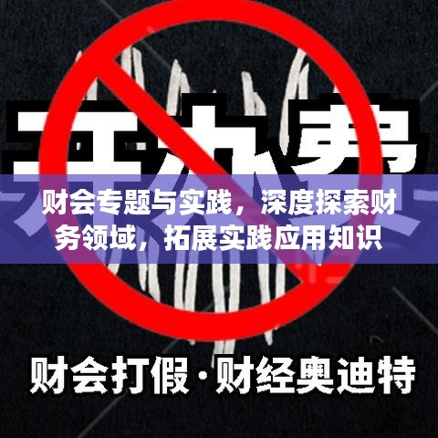 财会专题与实践,深度探索财务领域,拓展实践应用知识