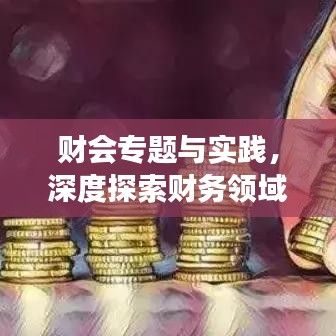 财会专题与实践,深度探索财务领域,拓展实践应用知识
