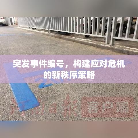 突发事件编号，构建应对危机的新秩序策略