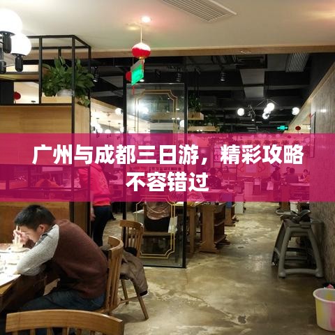 广州与成都三日游,精彩攻略不容错过