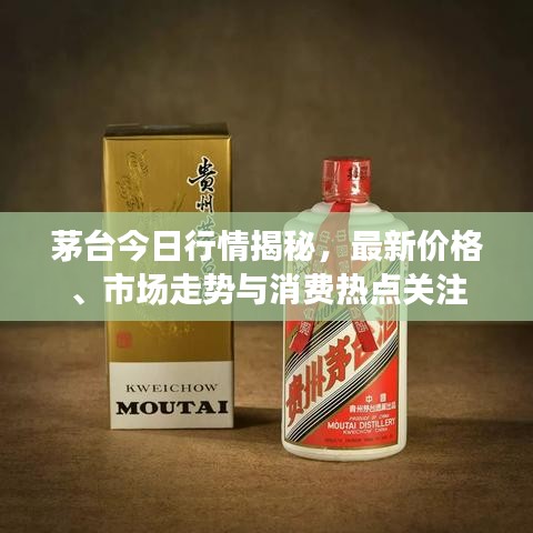 茅台今日行情揭秘,最新价格、市场走势与消费热点关注