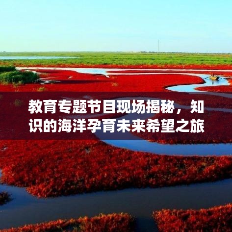 教育专题节目现场揭秘，知识的海洋孕育未来希望之旅
