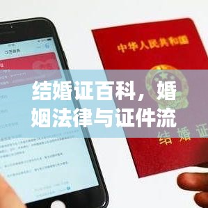 结婚证百科,婚姻法律与证件流程的全面解读