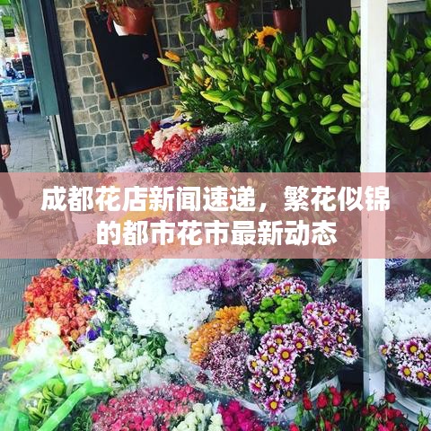 成都花店新闻速递,繁花似锦的都市花市最新动态