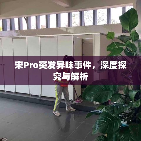 宋Pro突发异味事件,深度探究与解析