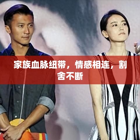 家族血脉纽带，情感相连，割舍不断
