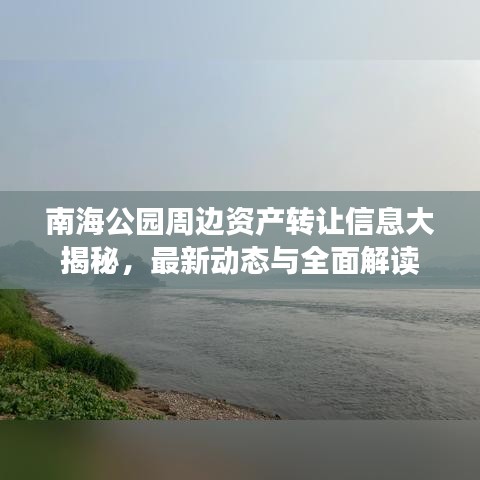 南海公园周边资产转让信息大揭秘，最新动态与全面解读