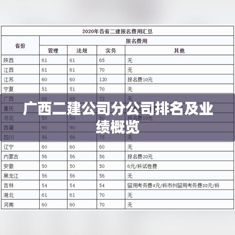 广西二建公司分公司排名及业绩概览