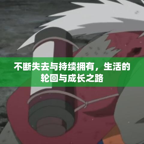 不断失去与持续拥有,生活的轮回与成长之路