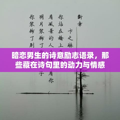 暗恋男生的诗意励志语录,那些藏在诗句里的动力与情感