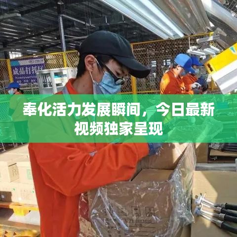 奉化活力发展瞬间，今日最新视频独家呈现