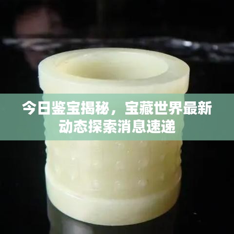 蜎飞蠢动 第6页