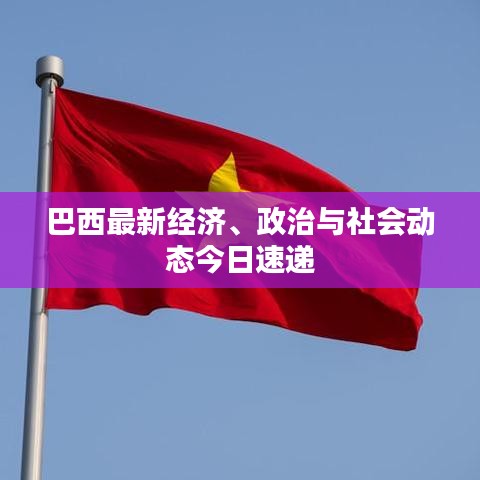 巴西最新经济、政治与社会动态今日速递