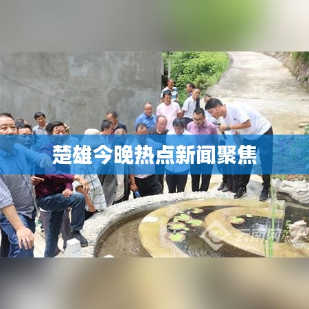 楚雄今晚热点新闻聚焦