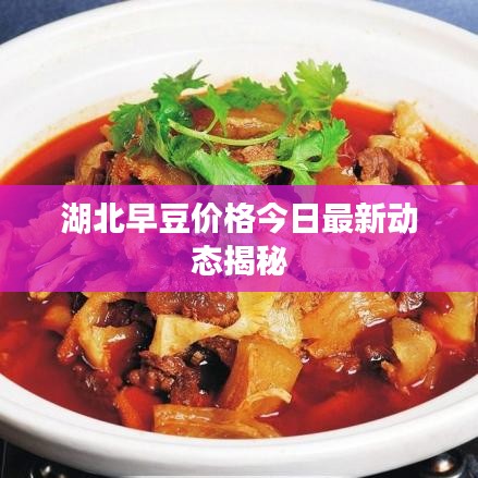 湖北早豆价格今日最新动态揭秘