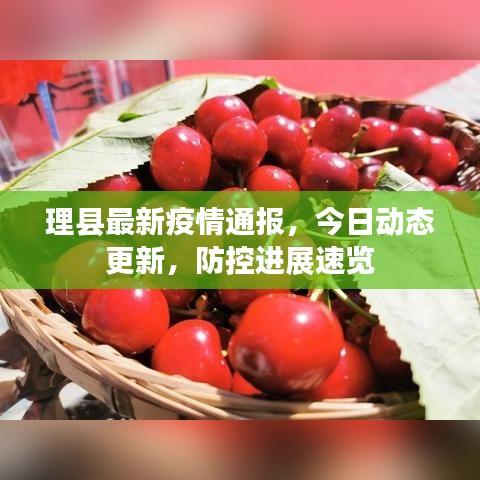 理县最新疫情通报,今日动态更新,防控进展速览