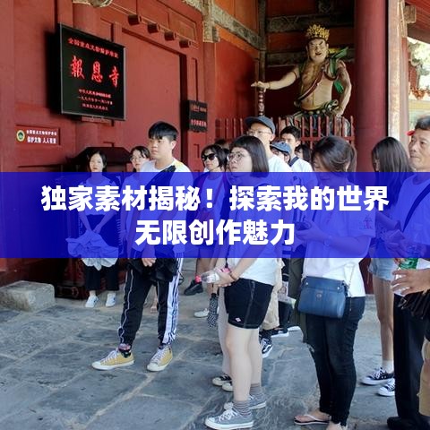 独家素材揭秘!探索我的世界无限创作魅力