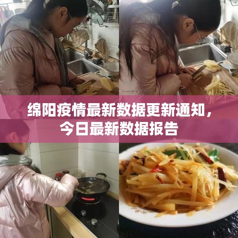 纲举目张 第5页