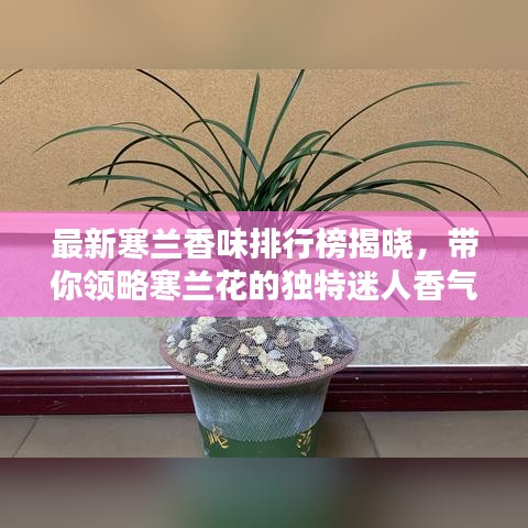 草草了事 第6页